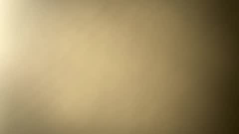 BRUCE online show from February 2025 01:24:02 AM