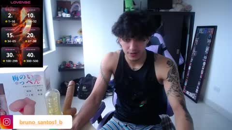 Snapshot of bruno_santos1 chatting on May 2026 02:36:02 PM Bruno online show from May 2026 02:36:02 PM