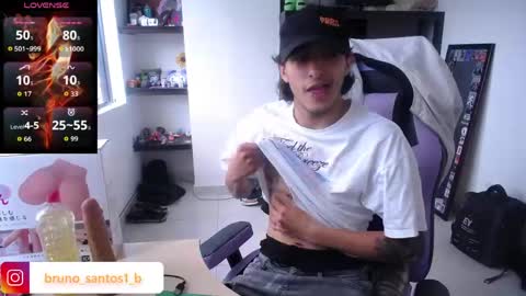 Snapshot of bruno_santos1 chatting on May 2026 02:13:02 PM Bruno online show from May 2026 02:13:02 PM