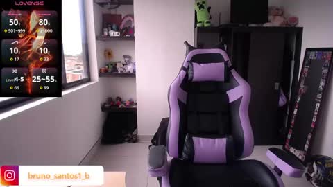 Snapshot of bruno_santos1 chatting on June 2026 12:08:02 PM Bruno online show from June 2026 12:08:02 PM