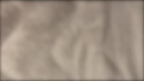 lvdy online show from February 2026 10:14:01 AM