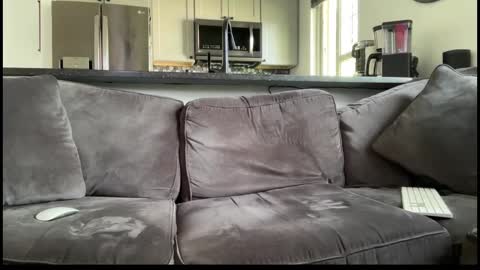 Snapshot of brwm2013 chatting on September 2025 07:48:02 PM brwm2013 online show from September 2025 07:48:02 PM