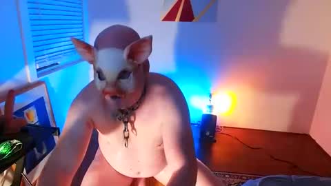 bottom freak online show from February 2025 10:29:01 AM