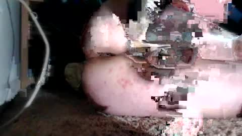 Snapshot of bubblebuttnnut chatting on June 2026 01:38:02 AM bubblebuttnnut online show from June 2026 01:38:02 AM