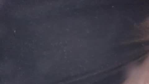 Snapshot of buddyluvzumore chatting on October 2025 04:35:02 AM buddyluvzumore online show from October 2025 04:35:02 AM