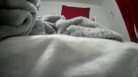 Snapshot of budsonly33 chatting on December 2024 07:52:02 AM budsonly33 online show from December 2024 07:52:02 AM