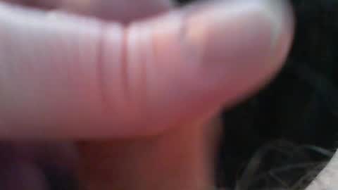 bullemoe online show from February 2026 07:51:01 AM