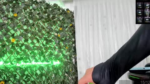 Angela Santini online show from December 2024 08:49:02 AM