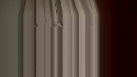 Snapshot of burkemeister101 chatting on October 2025 12:19:01 AM Burkemeister online show from October 2025 12:19:01 AM