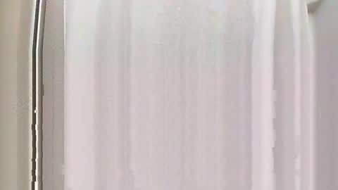 Burnout1315 online show from December 2024 05:03:01 PM