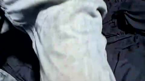 Snapshot of buster18hymen chatting on October 2025 07:36:02 PM Buster18Hymen online show from October 2025 07:36:02 PM