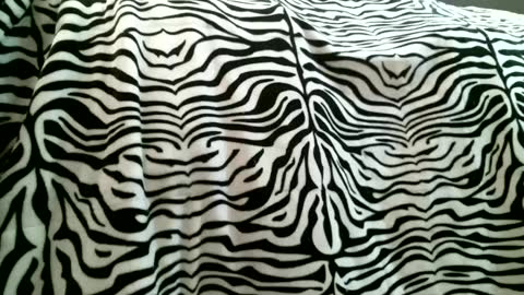 bustinfree online show from February 2025 03:31:02 PM