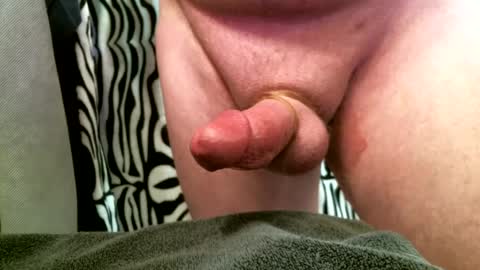 bustinfree online show from February 2025 03:16:01 PM