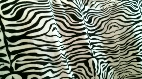 bustinfree online show from September 2025 05:56:01 PM