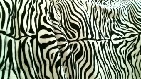 bustinfree online show from September 2025 03:34:02 PM