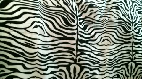 bustinfree online show from September 2025 03:35:02 PM