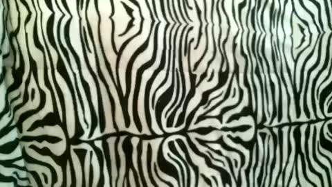 bustinfree online show from October 2025 12:39:02 PM