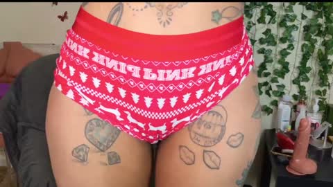 Snapshot of butterflybootyy chatting on January 2025 02:01:01 AM butterfly booty online show from January 2025 02:01:01 AM