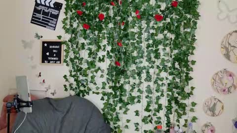 butterfly booty online show from November 2025 02:19:02 PM