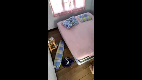 butzi online show from January 2026 07:57:01 AM