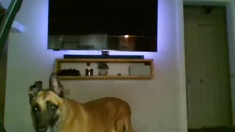 bwc44u online show from October 2025 02:07:01 AM