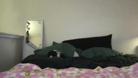 bxbyrussia online show from April 2026 11:07:02 PM