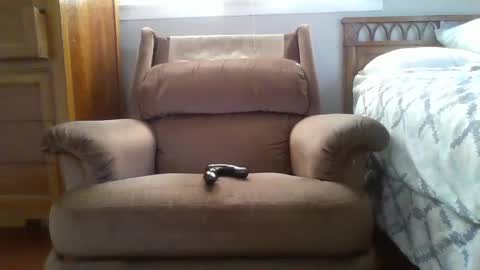 Snapshot of bygd334 chatting on February 2025 01:42:02 PM biggdw79 online show from February 2025 01:42:02 PM