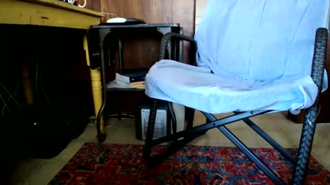 Cal online show from December 2024 07:01:01 PM