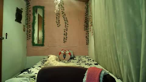 paula online show from February 2026 11:52:01 PM