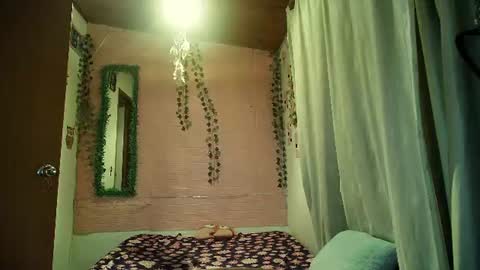 paula online show from July 2026 04:41:02 AM