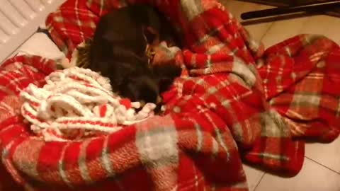 Snapshot of camdoattitude chatting on January 2025 08:58:01 PM CamDoAttitude online show from January 2025 08:58:01 PM