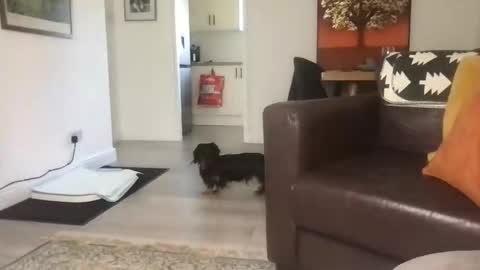 Snapshot of camdoattitude chatting on September 2025 11:46:02 AM CamDoAttitude online show from September 2025 11:46:02 AM