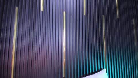 CAMERON online show from February 2025 08:32:02 AM