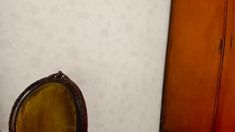 Snapshot of camila_berk chatting on March 2025 02:52:01 AM Cami online show from March 2025 02:52:01 AM