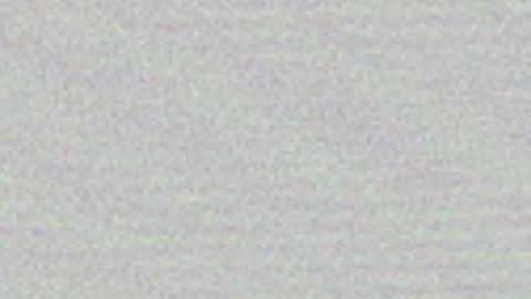 Cami online show from May 2026 06:31:02 AM
