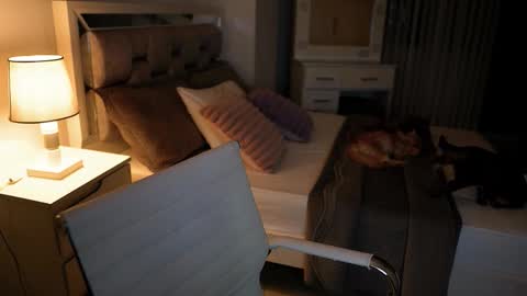 Snapshot of camila_buitrago chatting on November 2025 11:37:01 PM Camila buitrago online show from November 2025 11:37:01 PM