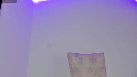 Snapshot of camila_coxx chatting on February 2025 08:33:02 AM  s online show from February 2025 08:33:02 AM