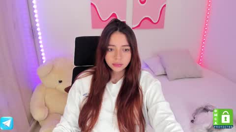 Snapshot of camila_ec2 chatting on February 2025 11:34:01 PM C A M I online show from February 2025 11:34:01 PM