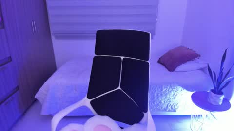 Snapshot of camila_ec2 chatting on February 2026 02:07:03 AM C A M I online show from February 2026 02:07:03 AM