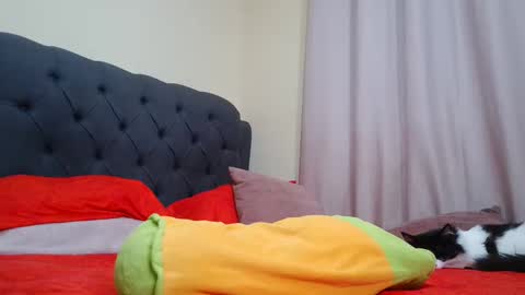 Snapshot of camilabrown23 chatting on February 2025 09:26:02 AM Camila Browm online show from February 2025 09:26:02 AM