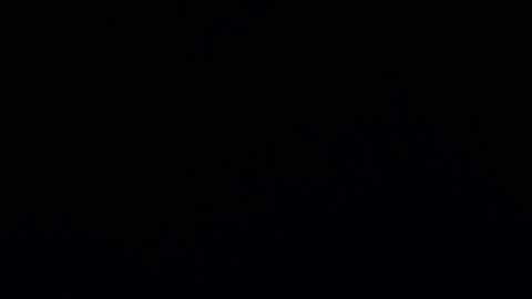 camilio96 online show from December 2024 02:09:02 AM