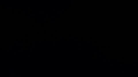 camilio96 online show from December 2024 04:15:02 AM