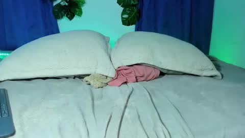 CAMILO online show from February 2025 10:30:01 PM