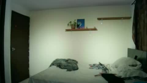 Camilo online show from January 2025 11:18:01 PM