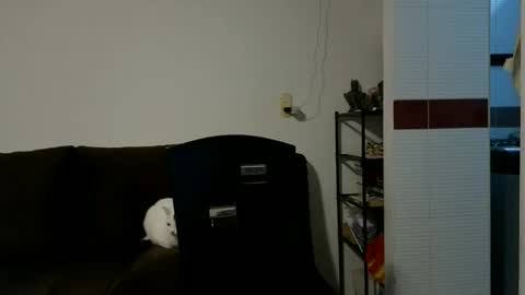 Camilo online show from October 2025 09:26:01 PM