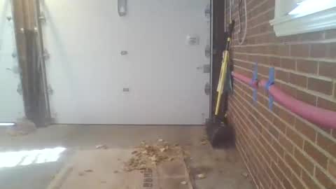 Snapshot of cammyman6900 chatting on November 2025 04:28:02 PM cammyman6900 online show from November 2025 04:28:02 PM