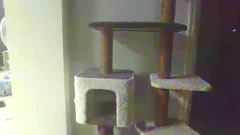 Snapshot of cammyman6900 chatting on November 2025 04:34:02 AM cammyman6900 online show from November 2025 04:34:02 AM