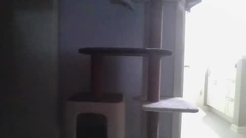 Snapshot of cammyman6900 chatting on November 2025 04:22:01 AM cammyman6900 online show from November 2025 04:22:01 AM