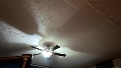 Snapshot of candicewlahna chatting on September 2025 07:41:01 AM candicewlahna online show from September 2025 07:41:01 AM