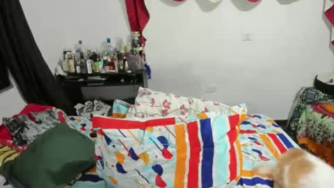 Snapshot of candlexx_ chatting on February 2025 03:35:02 AM candlex  online show from February 2025 03:35:02 AM